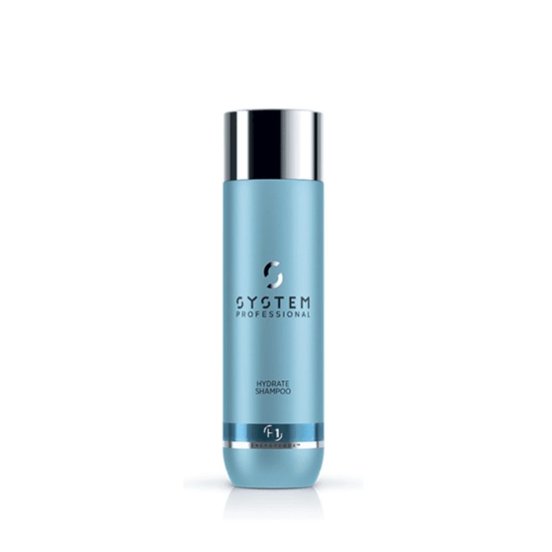 99350104738-Wella - Hydrate Shampoo 250ml